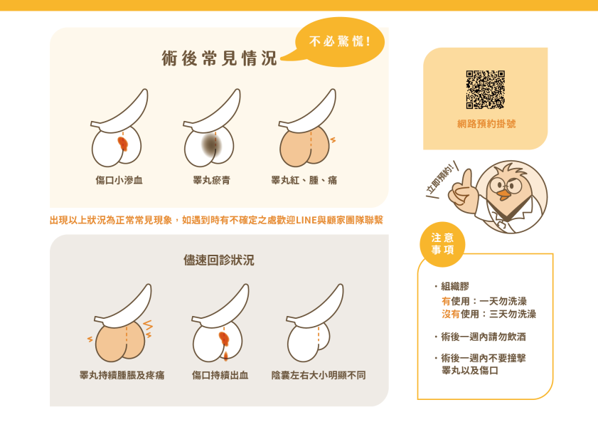 常見結紮術後情況