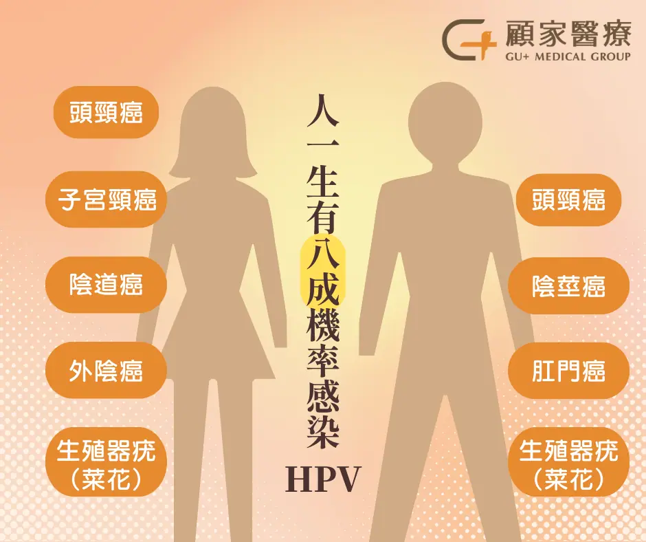HPV可能導致性病與癌症