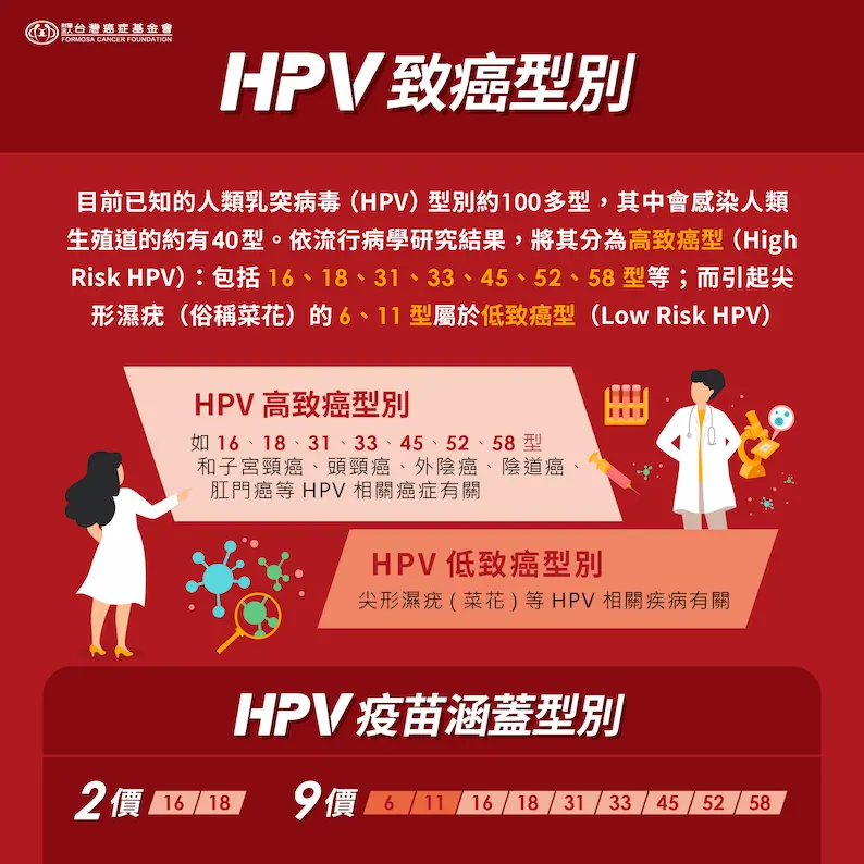 HPV致癌型別