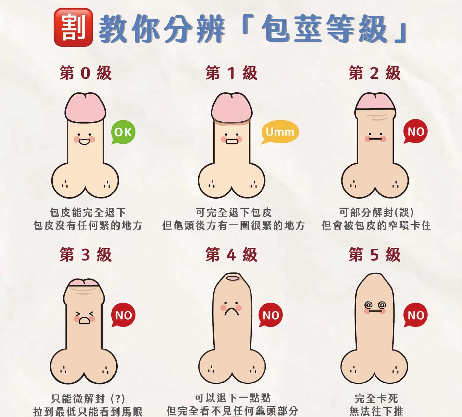 顧家醫療－包莖等級