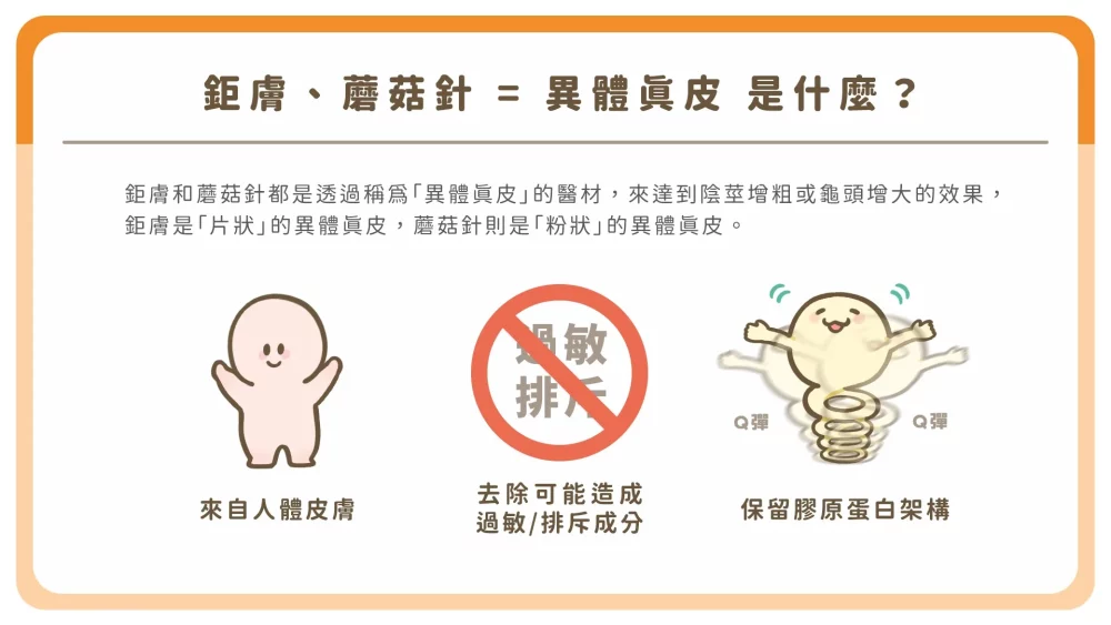 鉅膚、蘑菇針(異體真皮)增大術是什麼