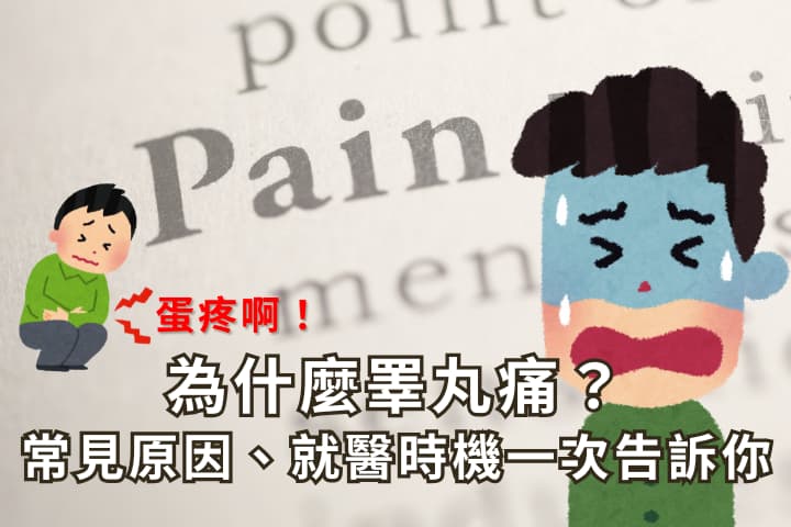 睪丸痛原因有哪些？副睪炎、睪丸扭轉、精索靜脈曲張、疝氣一次看懂