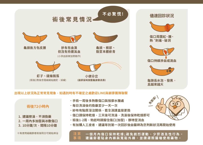 割包皮術後常見情況