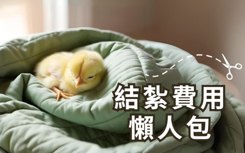 結紮費用全解析！結紮手術價格、流程與保險健保補助懶人包